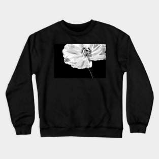 Poppy Crewneck Sweatshirt